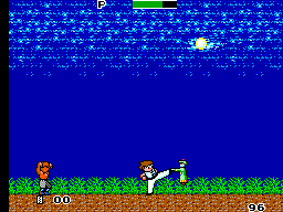 Kung Fu Kid (USA, Europe) In game screenshot